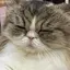 万里のプロフィール画像