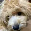 静のプロフィール画像