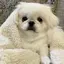 まろんのプロフィール画像