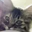 はるのプロフィール画像