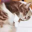 ゆうりのプロフィール画像
