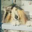 マルコのプロフィール画像