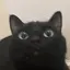 もものプロフィール画像
