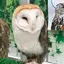 ななのプロフィール画像