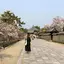ayacのプロフィール画像