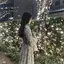 ♡のプロフィール画像