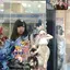 ひめのプロフィール画像