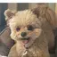 cocoのプロフィール画像