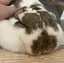 まるのプロフィール画像
