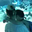まきまきのプロフィール画像