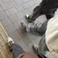 あゆむのプロフィール画像