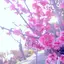 あやなのプロフィール画像