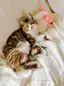 Ruiruiteのプロフィール画像