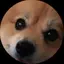 ひろこのプロフィール画像