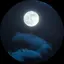 なつめのプロフィール画像