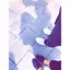 honamiのプロフィール画像