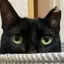 u6yのプロフィール画像