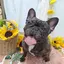 むーさんのプロフィール画像