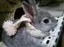 歩のプロフィール画像