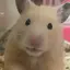 あのプロフィール画像