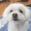 ぽみのプロフィール画像