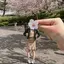 Rのプロフィール画像
