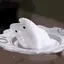 ruaのプロフィール画像