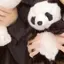 KOTOのプロフィール画像