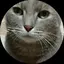ももいろみるくのプロフィール画像