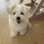 みーのプロフィール画像