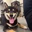 まるのプロフィール画像
