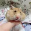 遥のプロフィール画像