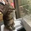はるんのプロフィール画像