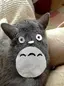 みどりのプロフィール画像