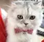 あやのプロフィール画像