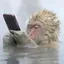 江藤乱次のプロフィール画像