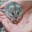 みさのプロフィール画像