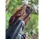 Rinaのプロフィール画像