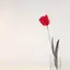 wwのプロフィール画像