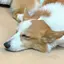 Mのプロフィール画像