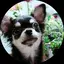 しもゆかのプロフィール画像