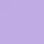 絵梨のプロフィール画像