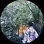 AAyaのプロフィール画像