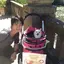 洸太朗のプロフィール画像