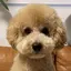 maiのプロフィール画像