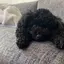 ☺︎misaのプロフィール画像