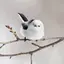 シマちゃんのプロフィール画像