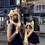 やまざきのプロフィール画像