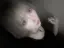 𝘏𝘪𝘬𝘢𝘳𝘶✧·˚⌖.のプロフィール画像