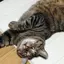 ささこのプロフィール画像
